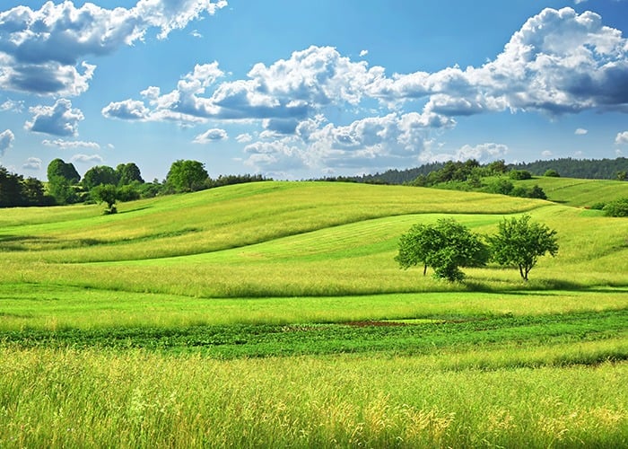 השקעה בקרקע חקלאית – האם כדאי?